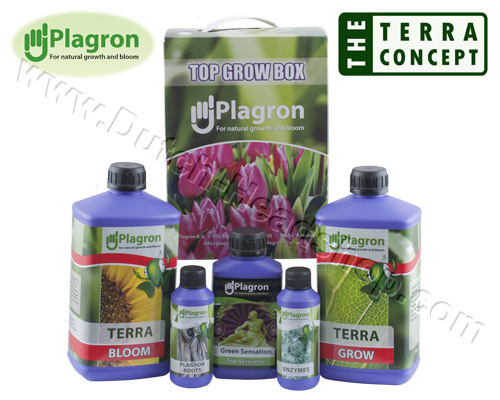 Top Grow Box Terra