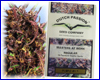 Purple #1 (10 zaden) Dutch Passion Purple #1 (10 zaden) Dutch Passion