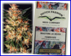 White Widow gefeminiseerd (10 zaden) Dutch Passion White Widow gefeminiseerd (10 zaden) Dutch Passion