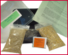 San Pedro cactus Growkit San Pedro cactus Growkit