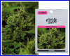 White Widow gefeminiseerd (5 zaden) royal queen White Widow gefeminiseerd (5 zaden) royal queen