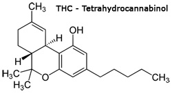 THC - Tetrahydrocannabinol molecule