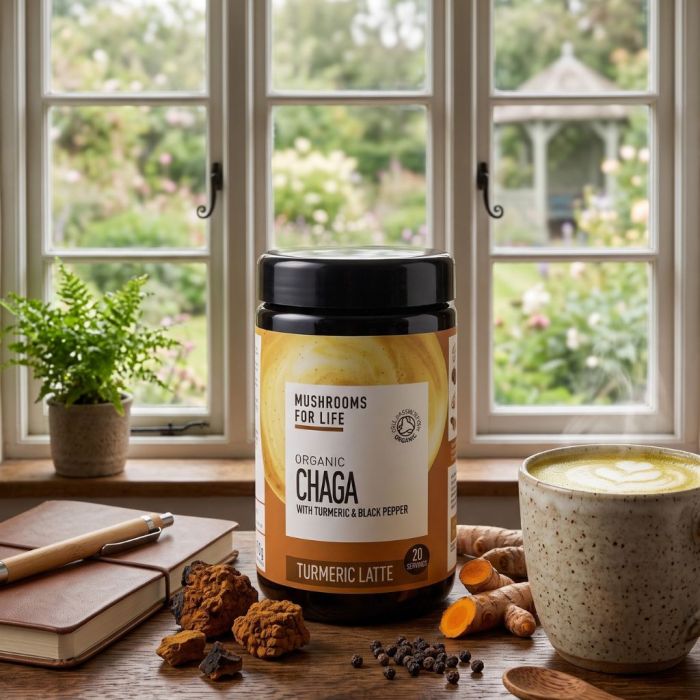 Chaga Kurkuma Paddenstoelen Latte 1000mg Bio (Mushrooms For Life) 120gr main product photo