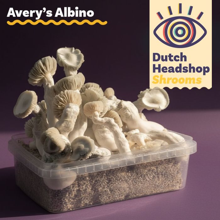 Paddo Kweekset Avery's Albino 1200cc (Huismerk) main product photo