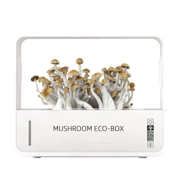 Growbox Paddos Kweken (Crownow) main product photo