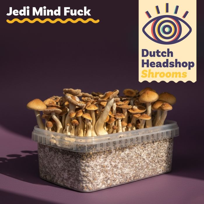 Paddo Kweekset Jedi Mind Fuck 1200cc (Huismerk) main product photo