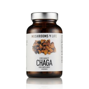 Chaga [Inonotus obliquus] Biologisch (Mushrooms4Life) 60 capsules