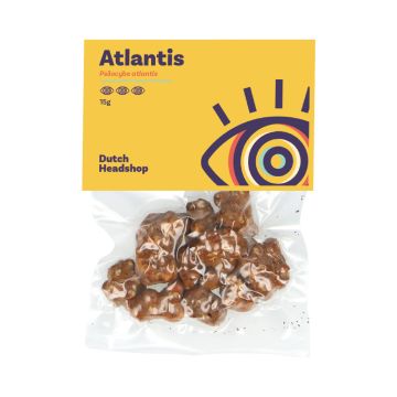 Magic Truffels Atlantis (Huismerk) 15 gram