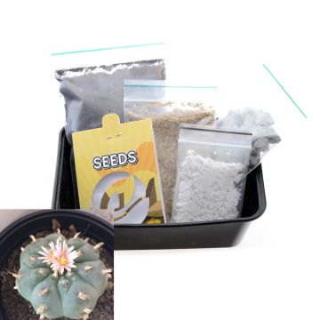 Peyote Cactus Growkit [Lophophora Williamsii] 20 Zaden