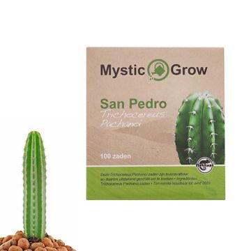 San Pedro Mescaline Cactus [Echinopsis Pachanoi] (Mystic Grow) 100 zaadjes