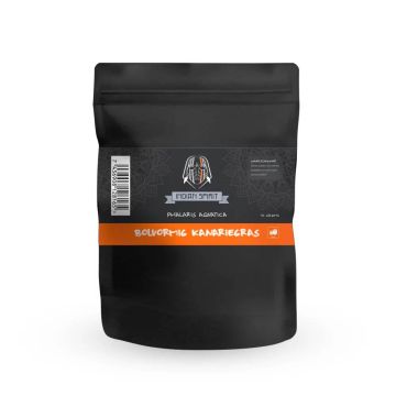 Bolvormig Kanariegras zaden [Phalaris aquatica] (Indian Spirit) 10 gram 