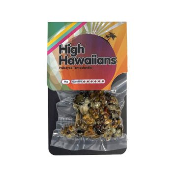 Magic Truffels High Hawaiians 25 gram