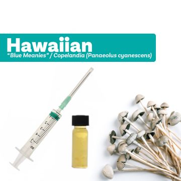 Paddo Kweekcultuur | Liquid Culture Hawaiian [Panaeolus cyanescens]