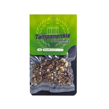 Magic Truffels Tampanensis 15 gram