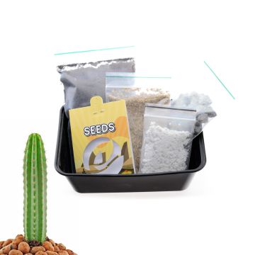 San Pedro Cactus Growkit [Echinopsis Pachanoi] 20 Zaden