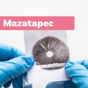Paddo Sporenprint | Mazatapec