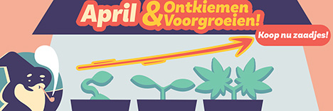 Onkiemen & Voorgroeien!