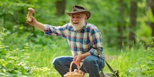 man met cowboyhoed in het bos houdt een paddenstoel vast.