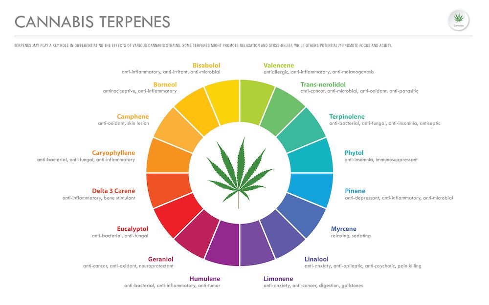 terpenen-wiet