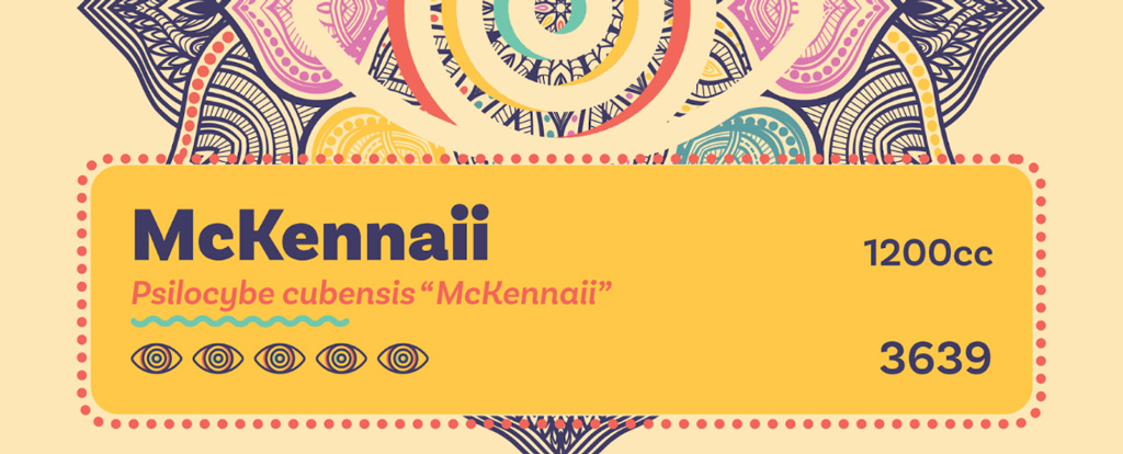 Cubensis variëteiten herken je bij Dutch-Headshop aan de gele sticker.