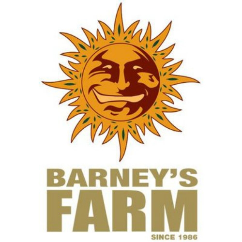 Barney's Farm Dutch Headshop