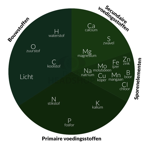 De Schijf van 18