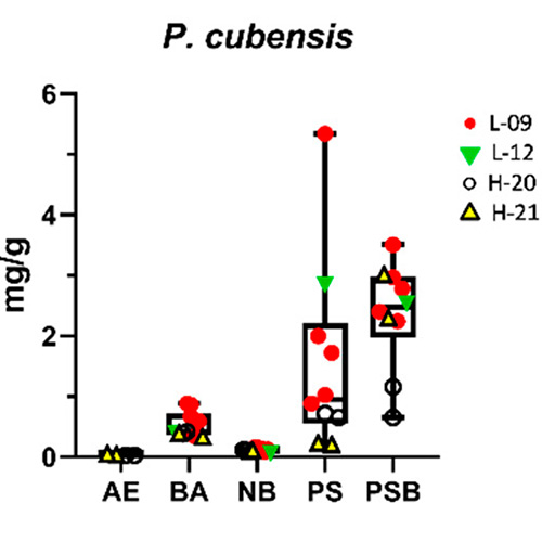 cubensis shroom studie