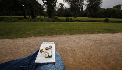 magic mushrooms dans le parc