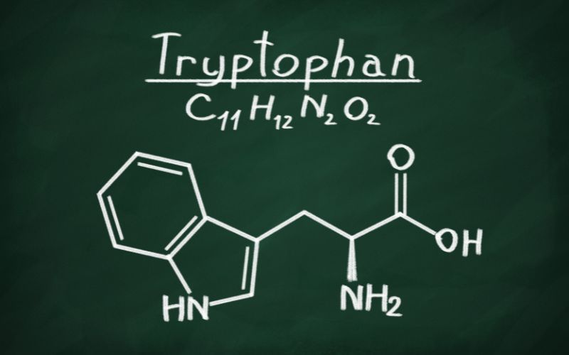 tryptofaan serotonine verhogen