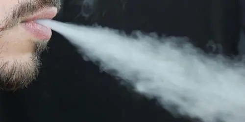 vaporizer